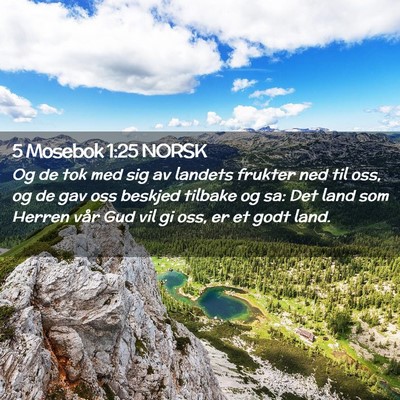 Picture 02 - 5 Mosebok 1:25 NORSK - Og de tok med sig av landets frukter ned til oss, - Bible Verse Picture