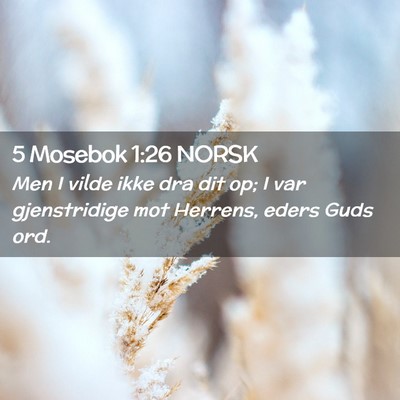 Picture 02 - 5 Mosebok 1:26 NORSK - Men I vilde ikke dra dit op; I var gjenstridige - Bible Verse Picture