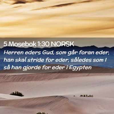 Picture 02 - 5 Mosebok 1:30 NORSK - Herren eders Gud, som går foran eder, han skal - Bible Verse Picture