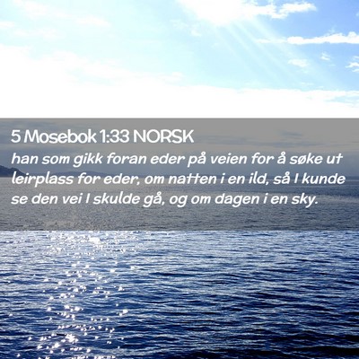 Picture 02 - 5 Mosebok 1:33 NORSK - han som gikk foran eder på veien for å søke ut - Bible Verse Picture
