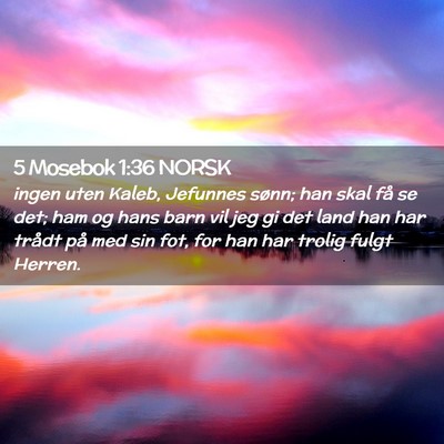 Picture 02 - 5 Mosebok 1:36 NORSK - ingen uten Kaleb, Jefunnes sønn; han skal få se - Bible Verse Picture