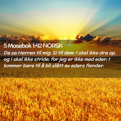 Picture 02 - 5 Mosebok 1:42 NORSK - Da sa Herren til mig: Si til dem: I skal ikke dra - Bible Verse Picture