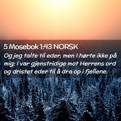 Picture 02 - 5 Mosebok 1:43 NORSK - Og jeg talte til eder, men I hørte ikke på mig; - Bible Verse Picture
