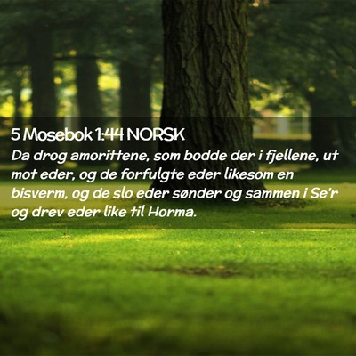 Picture 02 - 5 Mosebok 1:44 NORSK - Da drog amorittene, som bodde der i fjellene, ut - Bible Verse Picture