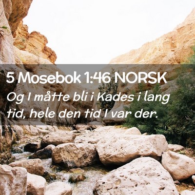 Picture 02 - 5 Mosebok 1:46 NORSK - Og I måtte bli i Kades i lang tid, hele den tid - Bible Verse Picture