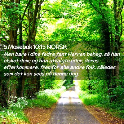 Picture 02 - 5 Mosebok 10:15 NORSK - Men bare i dine fedre fant Herren behag, så han - Bible Verse Picture