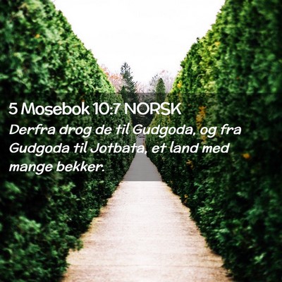 Picture 02 - 5 Mosebok 10:7 NORSK - Derfra drog de til Gudgoda, og fra Gudgoda til - Bible Verse Picture