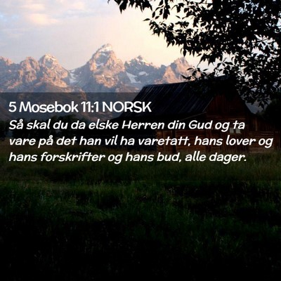 Picture 02 - 5 Mosebok 11:1 NORSK - Så skal du da elske Herren din Gud og ta vare - Bible Verse Picture