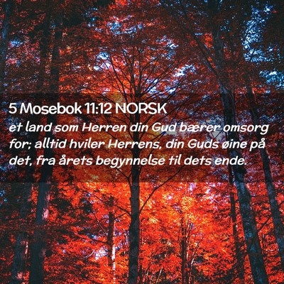 Picture 02 - 5 Mosebok 11:12 NORSK - et land som Herren din Gud bærer omsorg for; - Bible Verse Picture