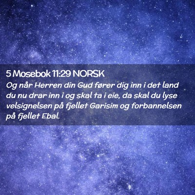 Picture 02 - 5 Mosebok 11:29 NORSK - Og når Herren din Gud fører dig inn i det land - Bible Verse Picture