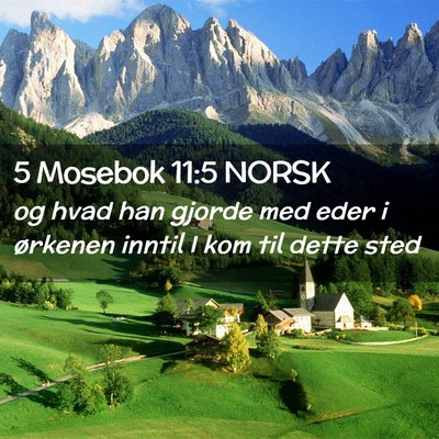 Picture 02 - 5 Mosebok 11:5 NORSK - og hvad han gjorde med eder i ørkenen inntil I - Bible Verse Picture