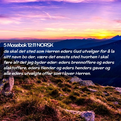 Picture 02 - 5 Mosebok 12:11 NORSK - da skal det sted som Herren eders Gud utvelger - Bible Verse Picture