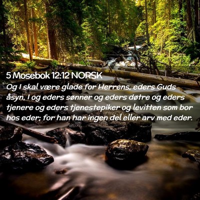 Picture 02 - 5 Mosebok 12:12 NORSK - Og I skal være glade for Herrens, eders Guds - Bible Verse Picture