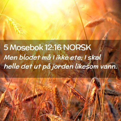 Picture 02 - 5 Mosebok 12:16 NORSK - Men blodet må I ikke ete; I skal helle det ut - Bible Verse Picture