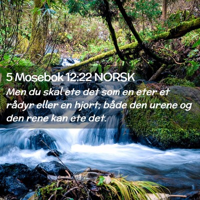 Picture 02 - 5 Mosebok 12:22 NORSK - Men du skal ete det som en eter et rådyr eller - Bible Verse Picture