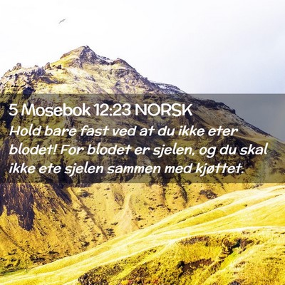 Picture 02 - 5 Mosebok 12:23 NORSK - Hold bare fast ved at du ikke eter blodet! For - Bible Verse Picture