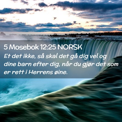 Picture 02 - 5 Mosebok 12:25 NORSK - Et det ikke, så skal det gå dig vel og dine - Bible Verse Picture