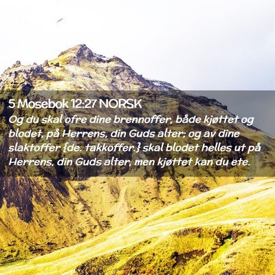 Picture 02 - 5 Mosebok 12:27 NORSK - Og du skal ofre dine brennoffer, både kjøttet - Bible Verse Picture