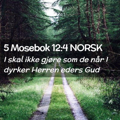 Picture 02 - 5 Mosebok 12:4 NORSK - I skal ikke gjøre som de når I dyrker Herren - Bible Verse Picture