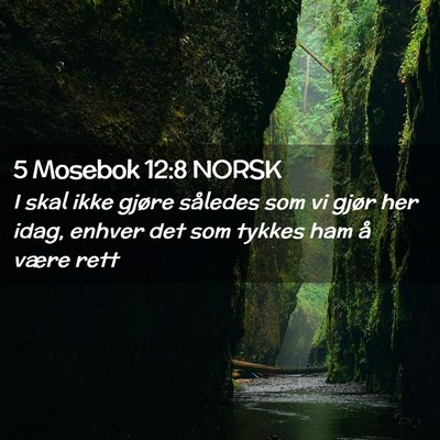 Picture 02 - 5 Mosebok 12:8 NORSK - I skal ikke gjøre således som vi gjør her - Bible Verse Picture