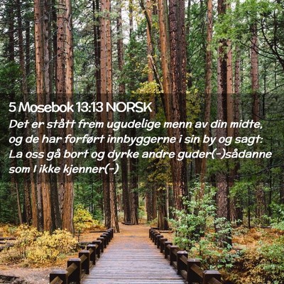 Picture 02 - 5 Mosebok 13:13 NORSK - Det er stått frem ugudelige menn av din midte, - Bible Verse Picture
