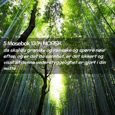 Picture 02 - 5 Mosebok 13:14 NORSK - da skal du granske og ransake og spørre nøie - Bible Verse Picture