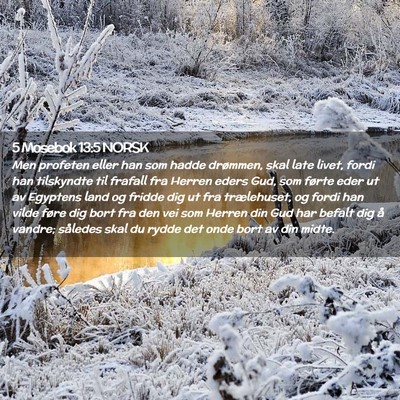 Picture 02 - 5 Mosebok 13:5 NORSK - Men profeten eller han som hadde drømmen, skal - Bible Verse Picture