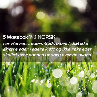Picture 02 - 5 Mosebok 14:1 NORSK - I er Herrens, eders Guds barn; I skal ikke - Bible Verse Picture