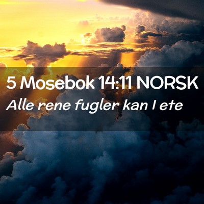Picture 02 - 5 Mosebok 14:11 NORSK - Alle rene fugler kan I - Bible Verse Picture