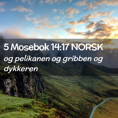 Picture 02 - 5 Mosebok 14:17 NORSK - og pelikanen og gribben og - Bible Verse Picture