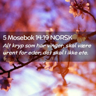 Picture 02 - 5 Mosebok 14:19 NORSK - Alt kryp som har vinger, skal være urent for - Bible Verse Picture