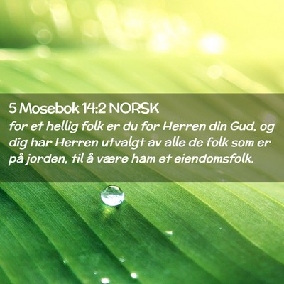 Picture 02 - 5 Mosebok 14:2 NORSK - for et hellig folk er du for Herren din Gud, og - Bible Verse Picture