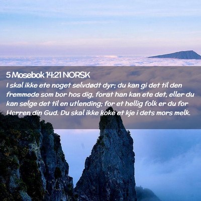 Picture 02 - 5 Mosebok 14:21 NORSK - I skal ikke ete noget selvdødt dyr; du kan gi - Bible Verse Picture
