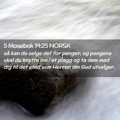 Picture 02 - 5 Mosebok 14:25 NORSK - så kan du selge det for penger, og pengene skal - Bible Verse Picture