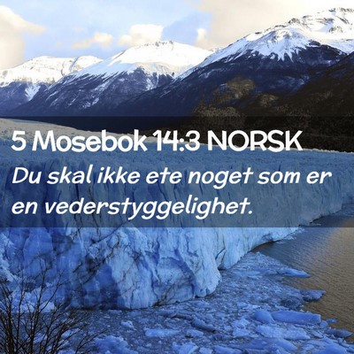 Picture 02 - 5 Mosebok 14:3 NORSK - Du skal ikke ete noget som er en - Bible Verse Picture