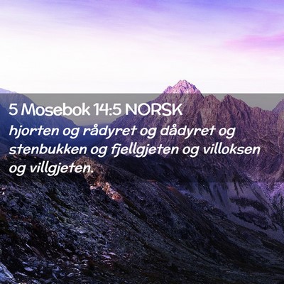 Picture 02 - 5 Mosebok 14:5 NORSK - hjorten og rådyret og dådyret og stenbukken og - Bible Verse Picture