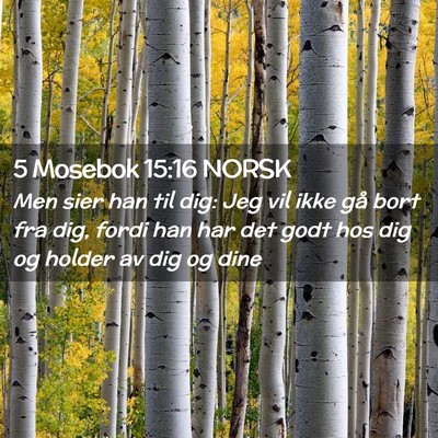 Picture 02 - 5 Mosebok 15:16 NORSK - Men sier han til dig: Jeg vil ikke gå bort fra - Bible Verse Picture