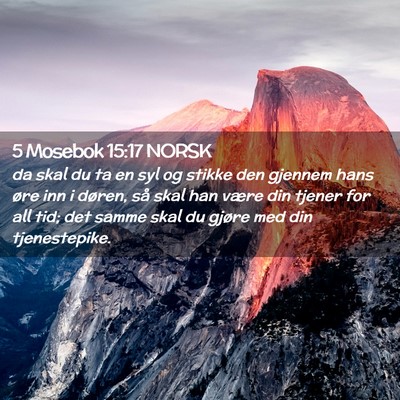 Picture 02 - 5 Mosebok 15:17 NORSK - da skal du ta en syl og stikke den gjennem hans - Bible Verse Picture