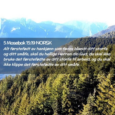 Picture 02 - 5 Mosebok 15:19 NORSK - Alt førstefødt av hankjønn som fødes blandt - Bible Verse Picture