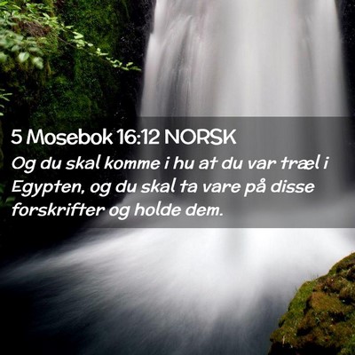 Picture 02 - 5 Mosebok 16:12 NORSK - Og du skal komme i hu at du var træl i Egypten, - Bible Verse Picture