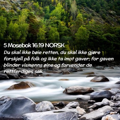 Picture 02 - 5 Mosebok 16:19 NORSK - Du skal ikke bøie retten, du skal ikke gjøre - Bible Verse Picture
