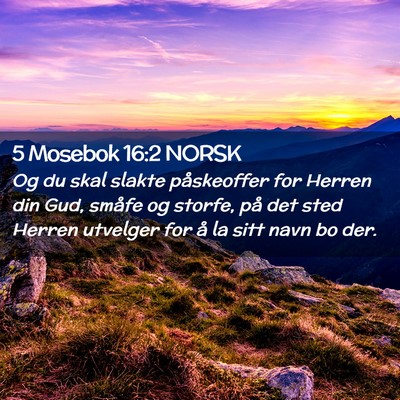 Picture 02 - 5 Mosebok 16:2 NORSK - Og du skal slakte påskeoffer for Herren din Gud, - Bible Verse Picture