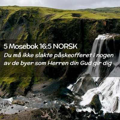 Picture 02 - 5 Mosebok 16:5 NORSK - Du må ikke slakte påskeofferet i nogen av de - Bible Verse Picture