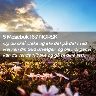 Picture 02 - 5 Mosebok 16:7 NORSK - Og du skal steke og ete det på det sted Herren - Bible Verse Picture