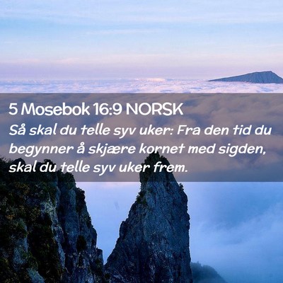 Picture 02 - 5 Mosebok 16:9 NORSK - Så skal du telle syv uker: Fra den tid du - Bible Verse Picture