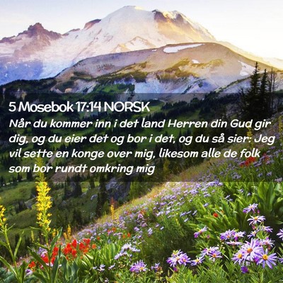 Picture 02 - 5 Mosebok 17:14 NORSK - Når du kommer inn i det land Herren din Gud gir - Bible Verse Picture