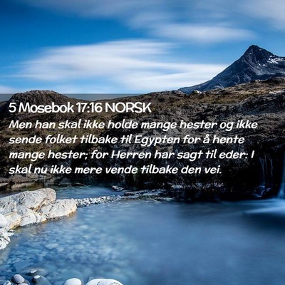 Picture 02 - 5 Mosebok 17:16 NORSK - Men han skal ikke holde mange hester og ikke - Bible Verse Picture