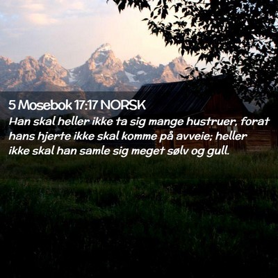 Picture 02 - 5 Mosebok 17:17 NORSK - Han skal heller ikke ta sig mange hustruer, forat - Bible Verse Picture