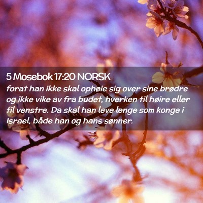 Picture 02 - 5 Mosebok 17:20 NORSK - forat han ikke skal ophøie sig over sine brødre - Bible Verse Picture