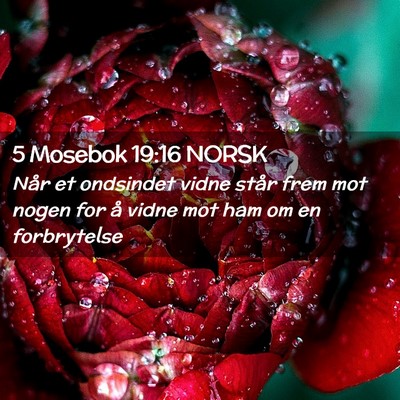 Picture 02 - 5 Mosebok 19:16 NORSK - Når et ondsindet vidne står frem mot nogen for - Bible Verse Picture